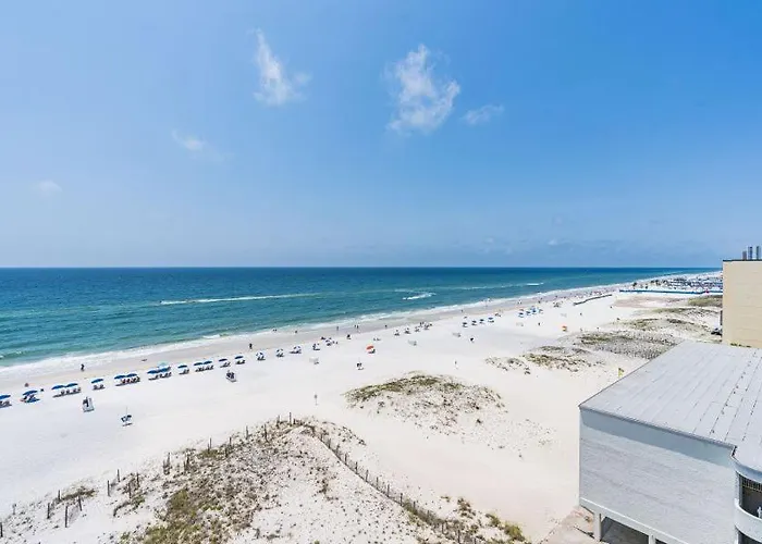San Carlos 808 By Youngs Suncoast Gulf Shores